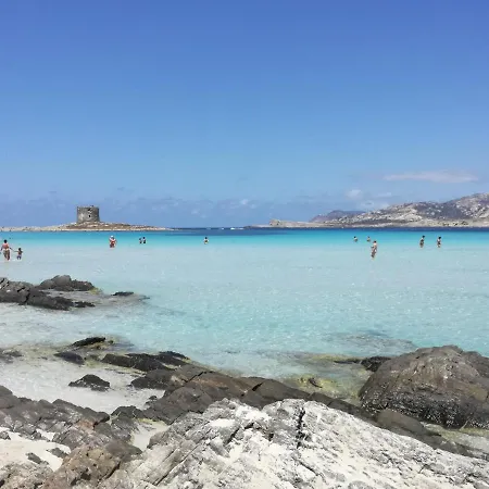 Il Tramonto Tra Alghero E Stintino Palmadula